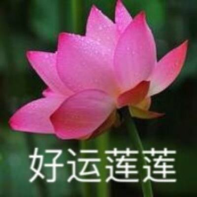 圣战编年史中文破解版下载